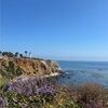 thebeachbum949